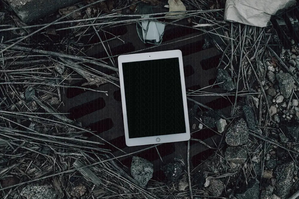 Dangerous Variety Pack