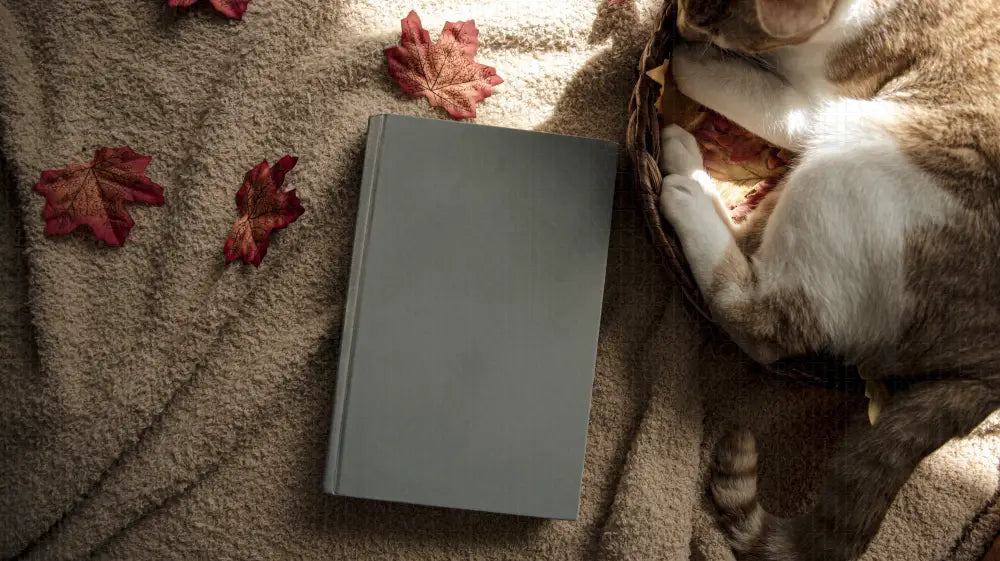 Falling for Cozy 10 image packs