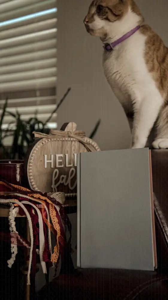 Falling for Cozy 10 image packs