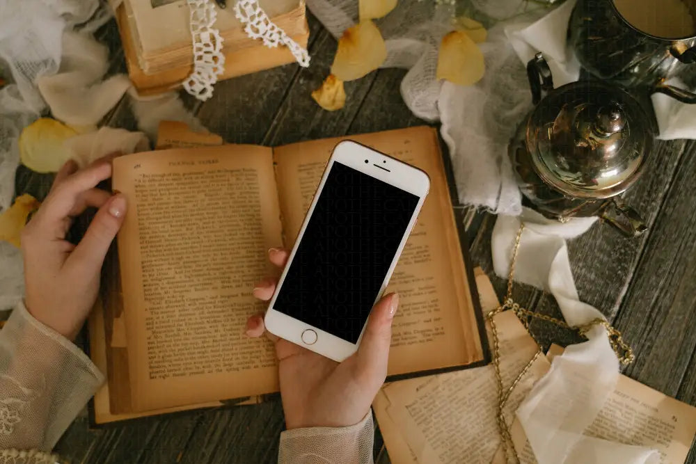 Kingdom Variety Pack