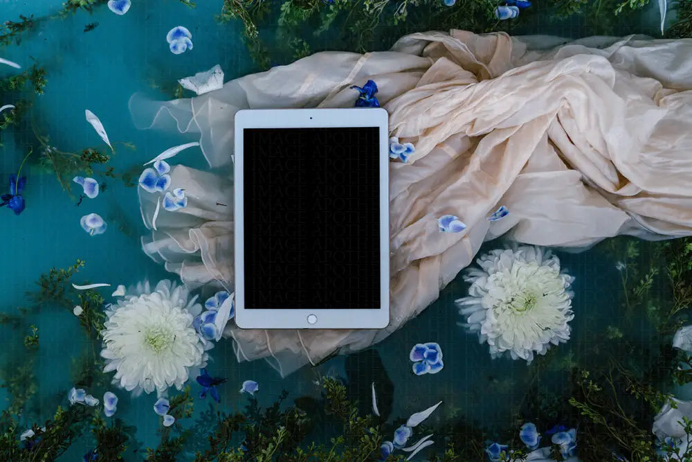 Princess Variety Pack