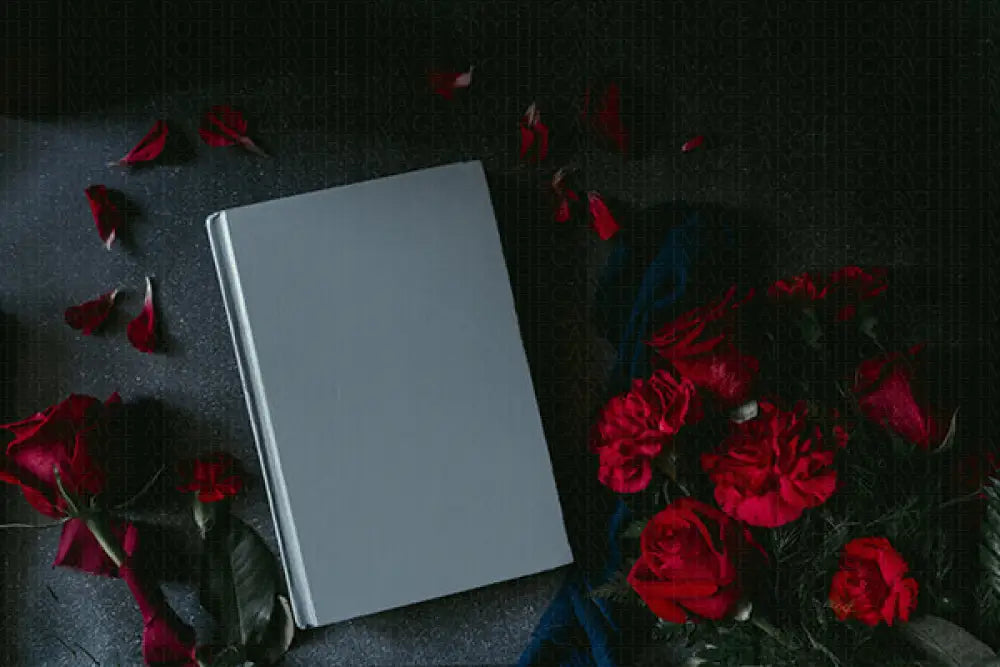 Red Aesthetics Bundle