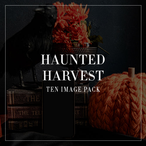 Haunted Harvest