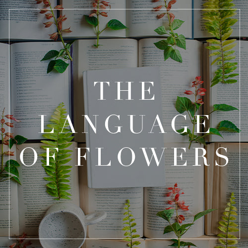 Entire Language Flowers Collection