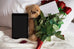 Date Me 10 image packs