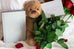 Date Me 10 image packs