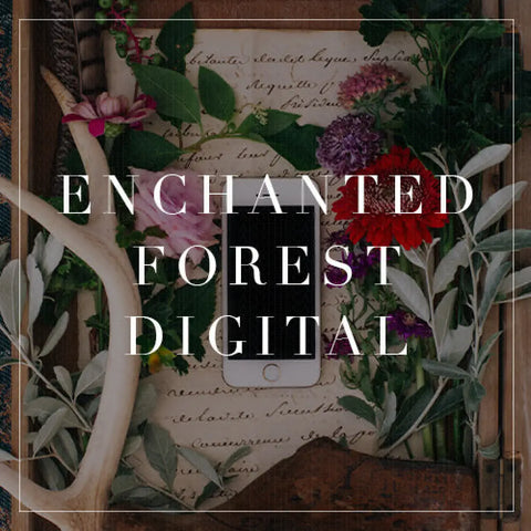 Enchanted Forest Digital Collection