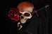 Gothic Blooms 10 Image Packs