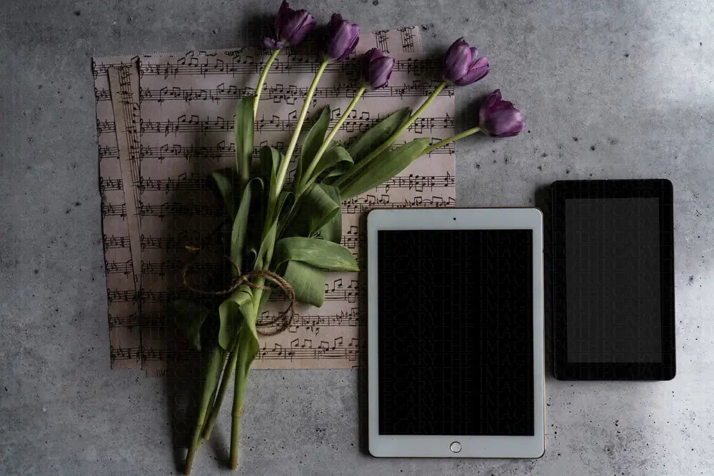 PurpleHaze-03675 - The Image Apothecary