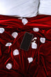 Scarlet Serenade 10 Image Packs