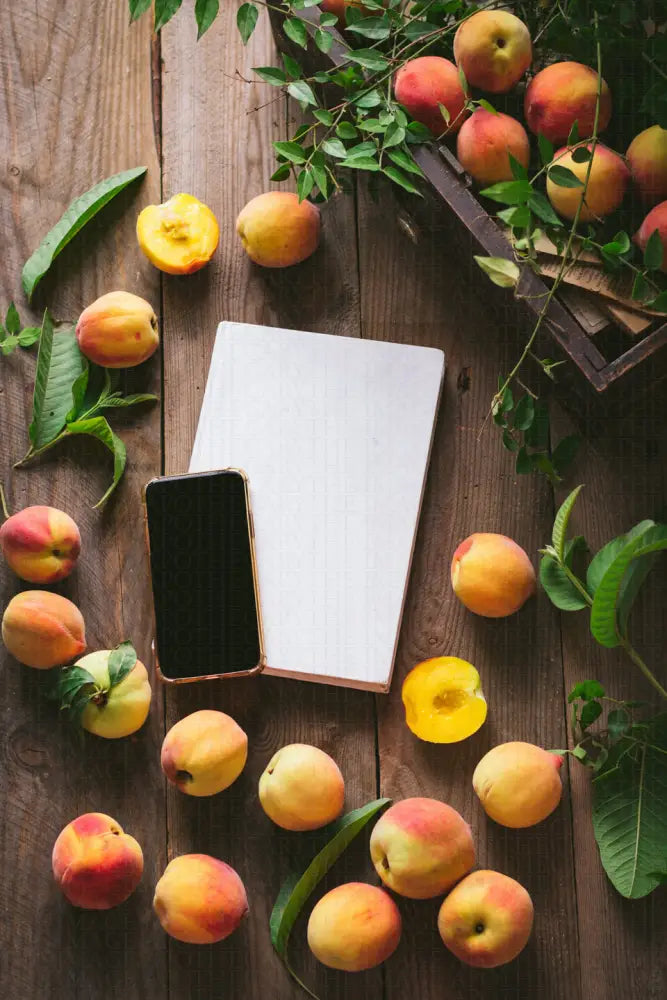 Seasonal Moments Series 6756