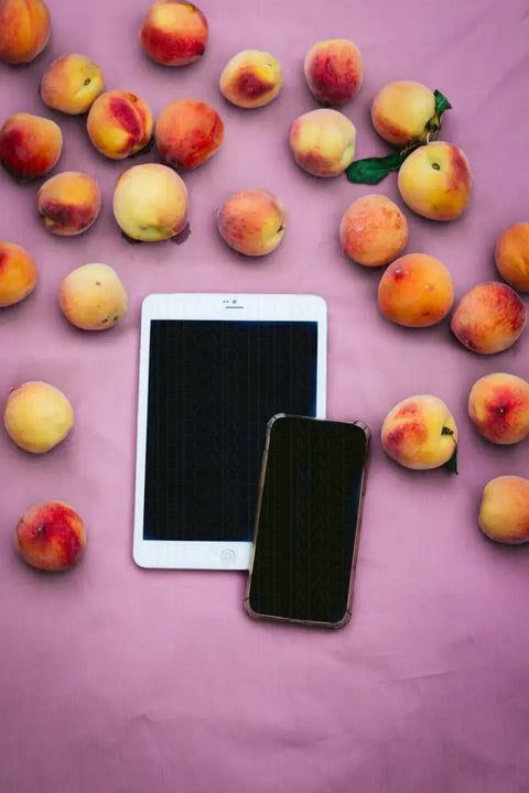 Seasonal Moments Series 7422