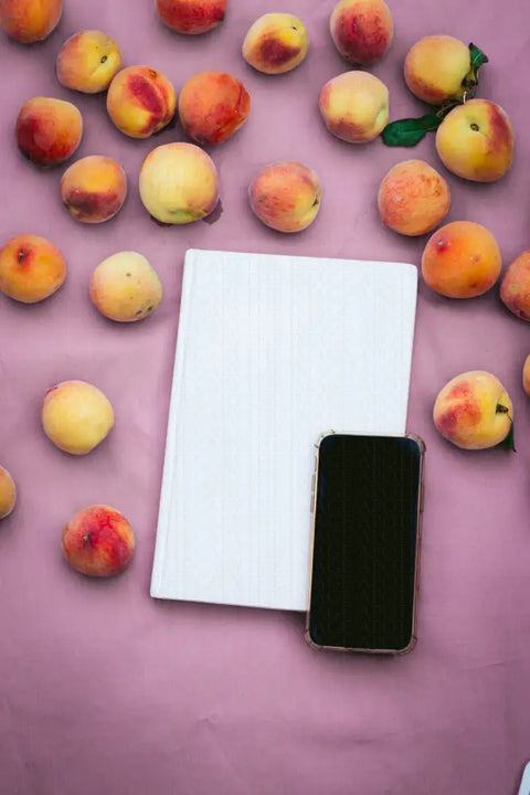 Seasonal Moments Series 7427