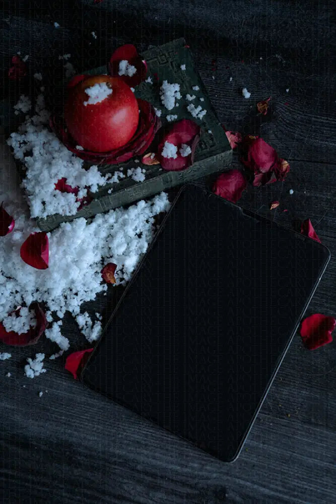 Snow White 09539