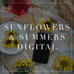 Sunflowers Summers Digital Collection