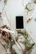 White Winter Digital Collection