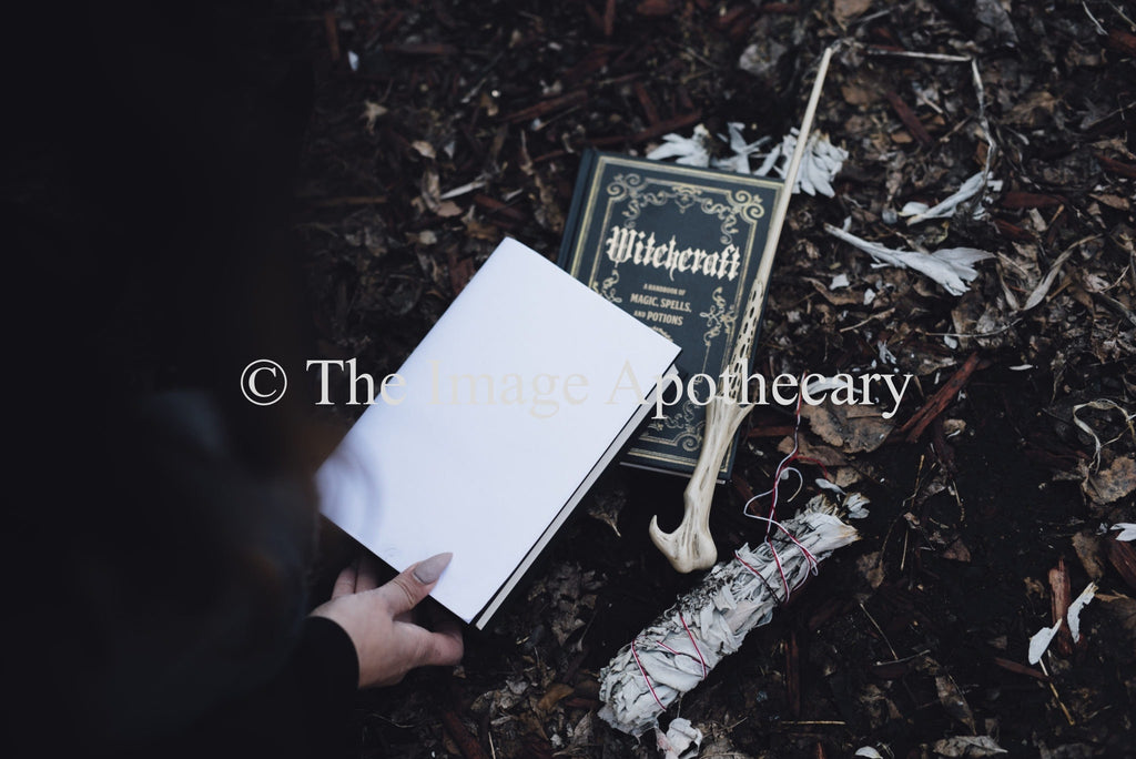 The Image Apothecary_3756M - Stock Photography by The Image Apothecary