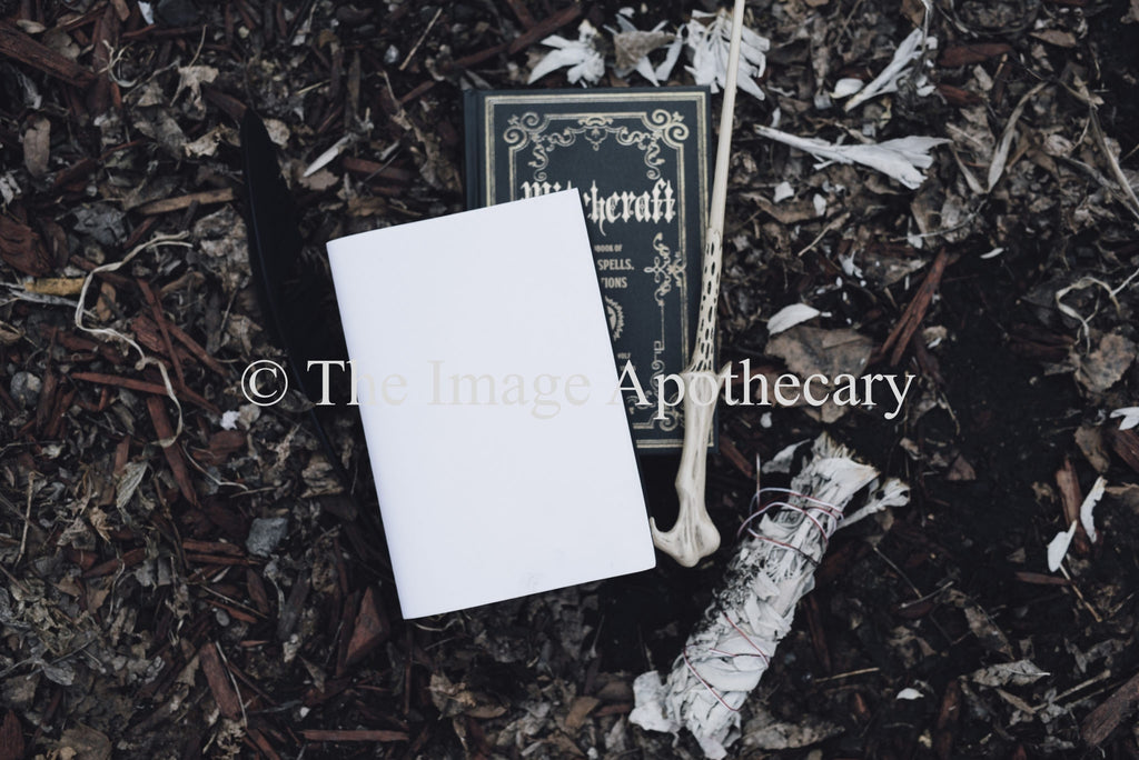 The Image Apothecary_3760M - Stock Photography by The Image Apothecary