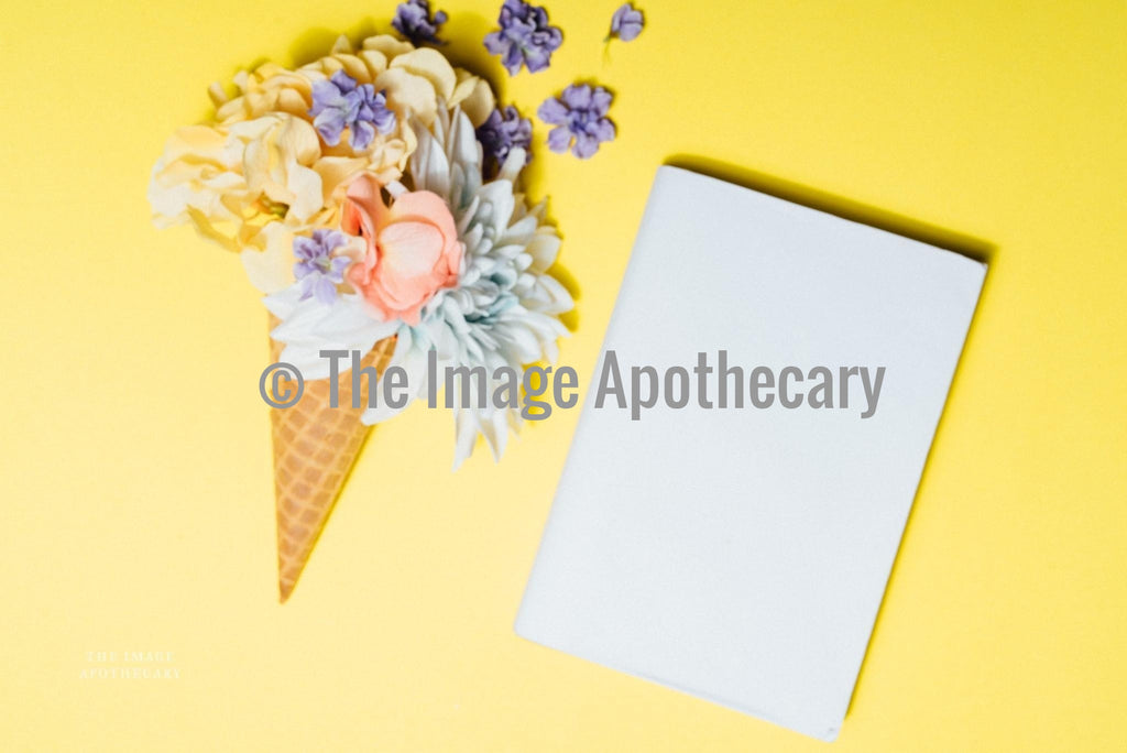 TheImageApothecary-370M - Stock Photography by The Image Apothecary