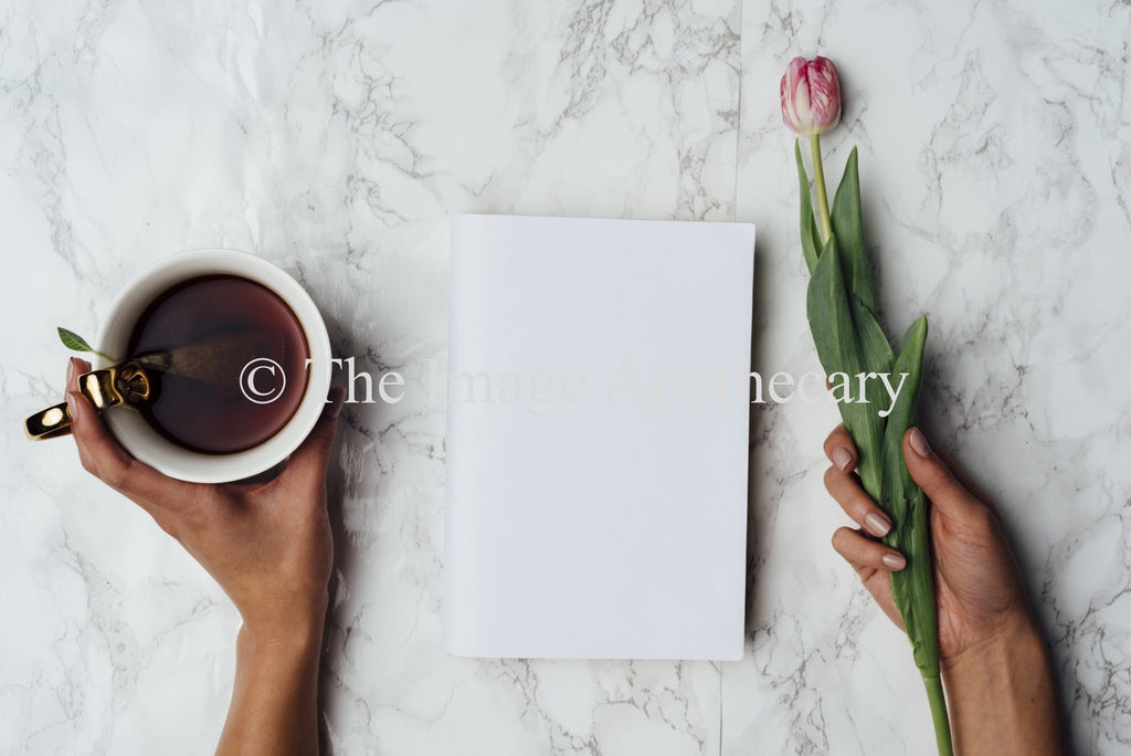 TheImageApothecary-6000M - Stock Photography by The Image Apothecary