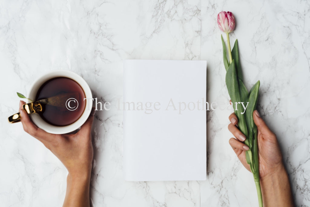 TheImageApothecary-6001M - Stock Photography by The Image Apothecary
