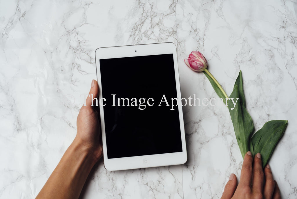 TheImageApothecary-6016M - Stock Photography by The Image Apothecary