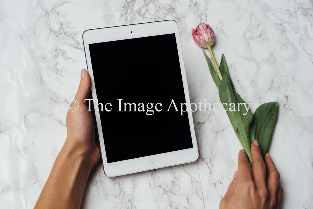 TheImageApothecary-6017M - Stock Photography by The Image Apothecary