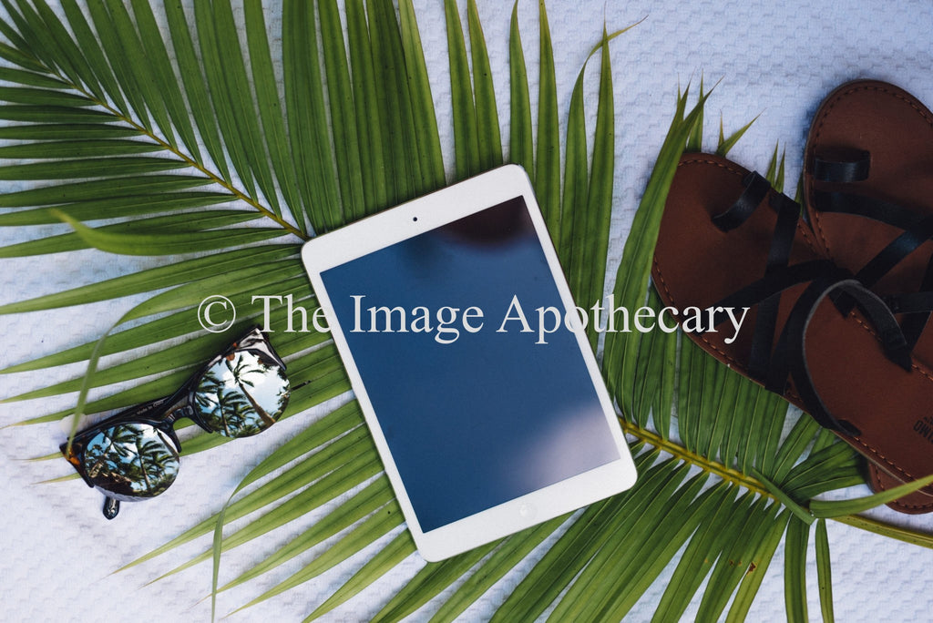 TheImageApothecary-6402 - Stock Photography by The Image Apothecary