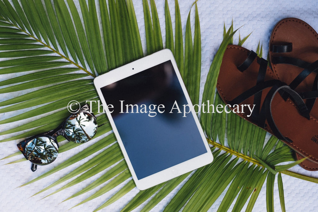 TheImageApothecary-6405 - Stock Photography by The Image Apothecary